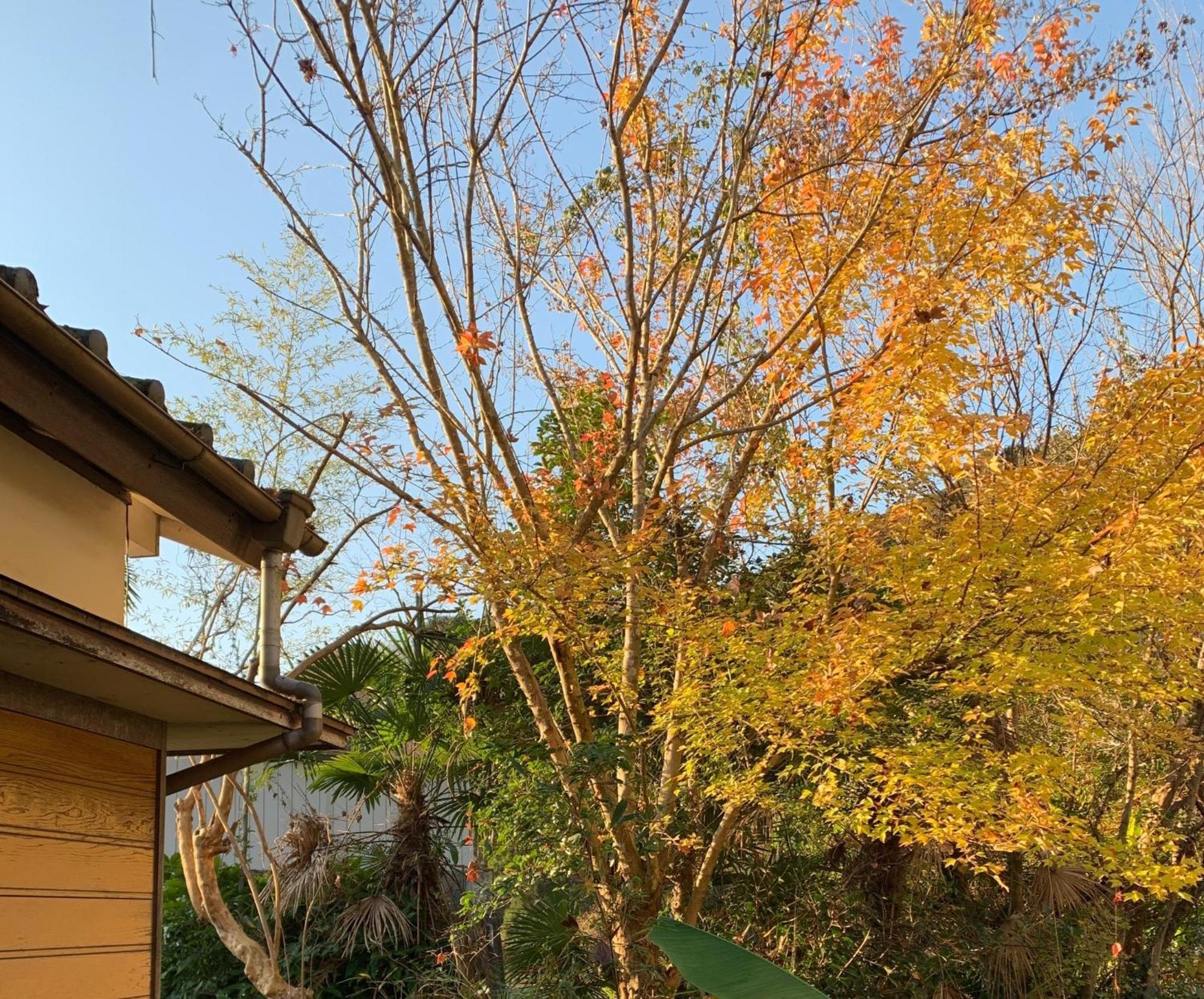 Hoshiyama B Extra For Pets - Vacation Stay 13934V Фуджиномия Екстериор снимка